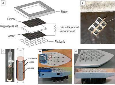 Long Term Feasibility Study of In-field Floating Microbial Fuel Cells for Monitoring Anoxic Wastewater and Energy Harvesting